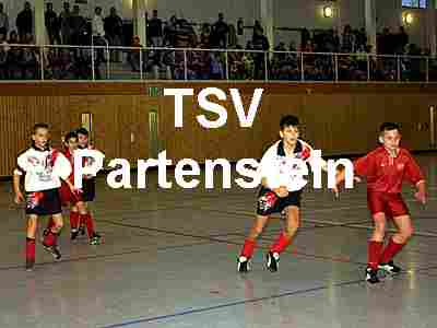 TSV Logo